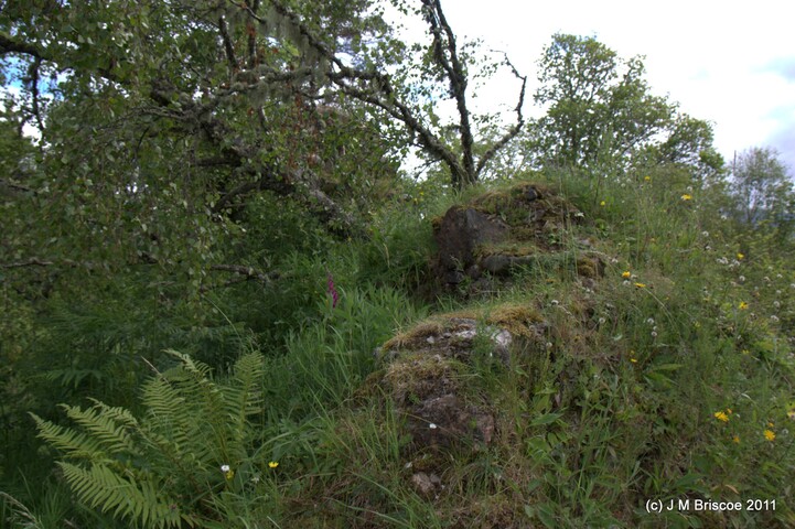 Tor Castle_5895426580_o.jpg