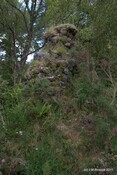 Tor Castle_5895428332_o.jpg