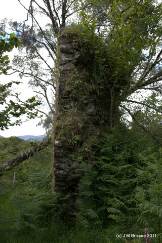 Tor Castle_5895434068_o.jpg
