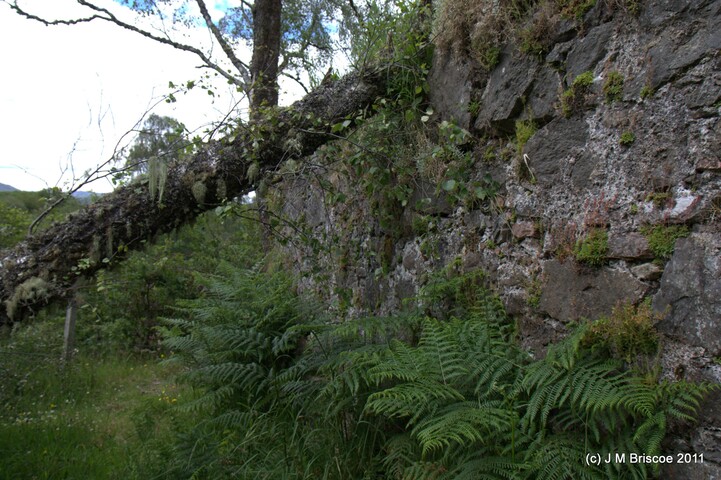 Tor Castle_5895448586_o.jpg