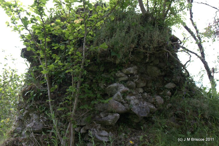 Tor Castle_5895450140_o.jpg