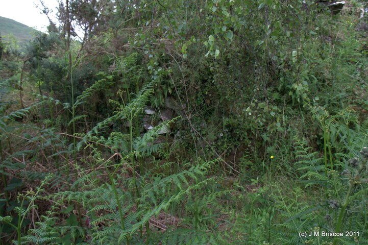 Tor Castle_5895452108_o.jpg