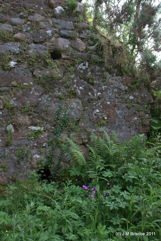 Tor Castle_5895456388_o.jpg