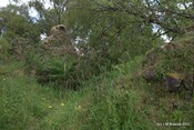 Tor Castle_5895473054_o.jpg