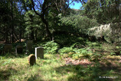 Cladh Tom an Tighe Mhoir - Cameron Burial Ground from_5971287951_o.jpg