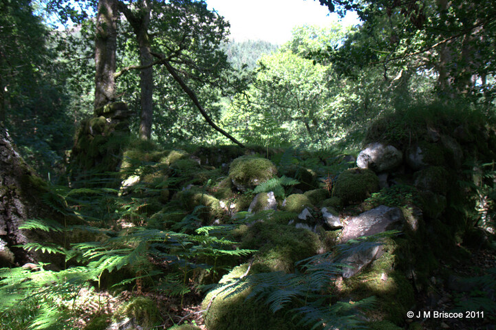 Cladh Tom an Tighe Mhoir - Cameron Burial Ground_5971112791_o.jpg
