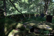 Cladh Tom an Tighe Mhoir - Cameron Burial Ground_5971115083_o.jpg