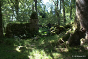 Cladh Tom an Tighe Mhoir - Cameron Burial Ground_5971117343_o.jpg