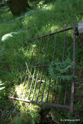 Cladh Tom an Tighe Mhoir - Cameron Burial Ground_5971129319_o.jpg