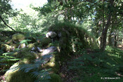 Cladh Tom an Tighe Mhoir - Cameron Burial Ground_5971670774_o.jpg