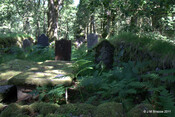 Cladh Tom an Tighe Mhoir - Cameron Burial Ground_5971672586_o.jpg