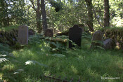 Cladh Tom an Tighe Mhoir - Cameron Burial Ground_5971675554_o.jpg