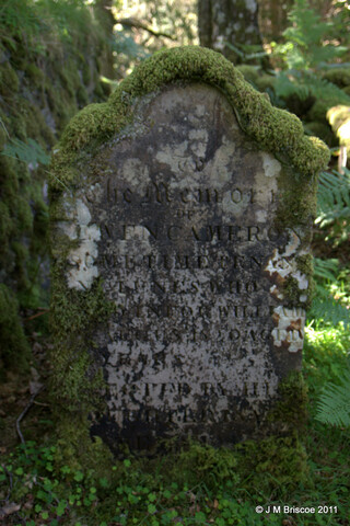 Cladh Tom an Tighe Mhoir - Cameron Burial Ground_5971680880_o.jpg