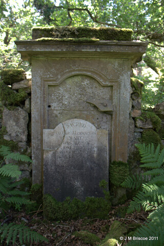 Cladh Tom an Tighe Mhoir - Cameron Burial Ground_5971681926_o.jpg