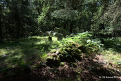Cladh Tom an Tighe Mhoir - Kennedy Burial Ground_5971274803_o.jpg