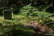 Cladh Tom an Tighe Mhoir - Kennedy Burial Ground_5971279053_o.jpg