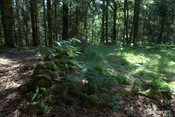 Cladh Tom an Tighe Mhoir - Kennedy Burial Ground_5971832558_o.jpg
