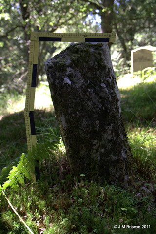 Cladh Tom an Tighe Mhoir - Kennedy Burial Ground_5971842596_o.jpg