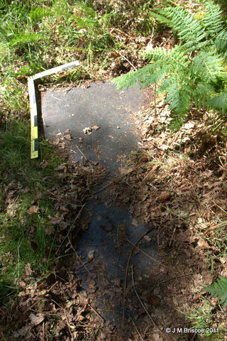 Cladh Tom an Tighe Mhoir - Kennedy Burial Ground_5971843926_o.jpg