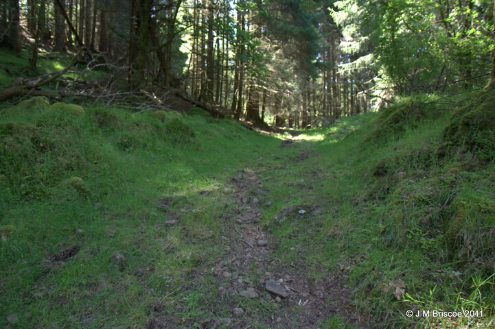 Cladh Tom an Tighe Mhoir - Track_5971110233_o.jpg