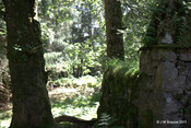 Cladh Tom an Tighe Mhoir_5971130141_o.jpg