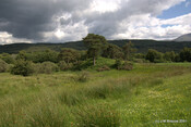 Carn Phail Burial Ground_5919352795_o.jpg