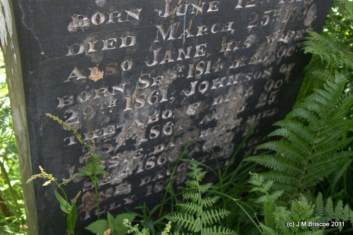 Carn Phail Burial Ground_5919366299_o.jpg