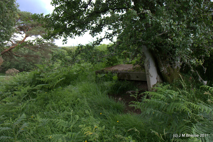 Carn Phail Burial Ground_5919368469_o.jpg