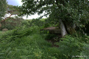 Carn Phail Burial Ground_5919368469_o.jpg