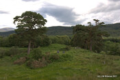 Carn Phail Burial Ground_5919914608_o.jpg