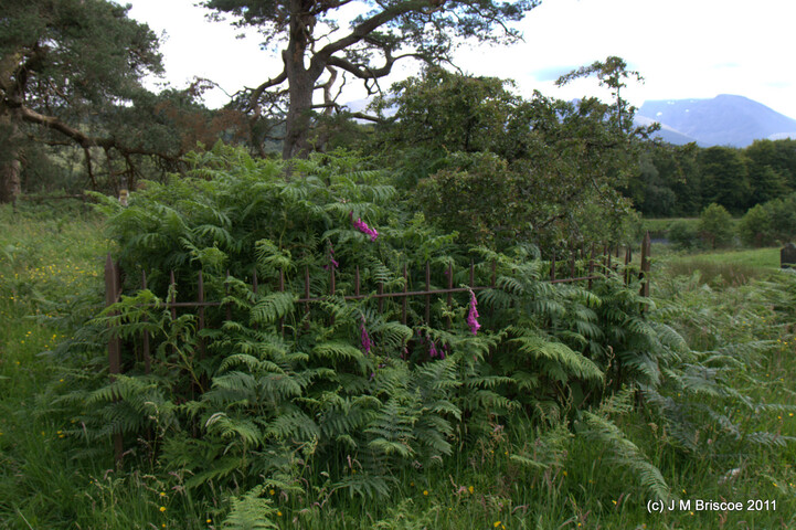Carn Phail Burial Ground_5919920594_o.jpg