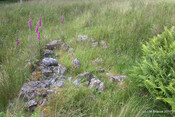 Achenadain Farmstead_5934474885_o.jpg