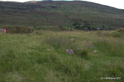 Achenadain Farmstead_5934475861_o.jpg