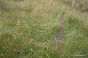 Achenadain Farmstead_5934477011_o.jpg