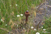 Achenadain Farmstead_5934480307_o.jpg