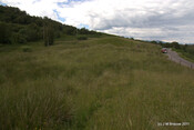 Achenadain Farmstead_5935033674_o.jpg