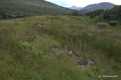 Achenadain Farmstead_5935034306_o.jpg