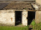 Photo_1.jpg