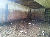 2011-06-08 12.24.26.jpg