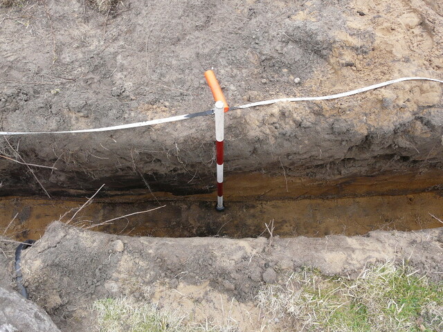 LFY11 13.jpg