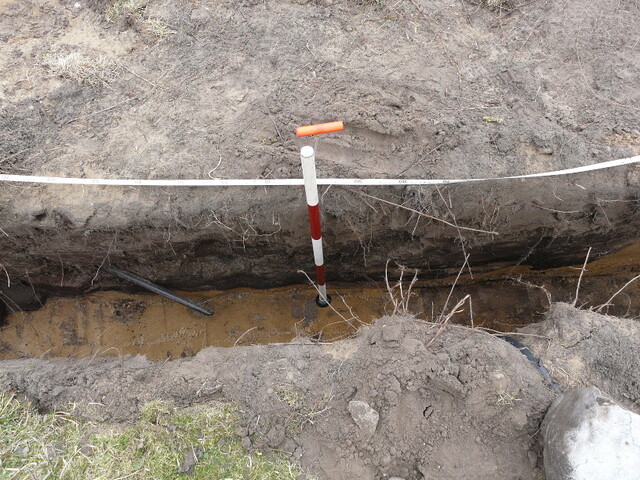 LFY11 14.jpg