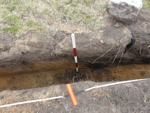LFY11 20.jpg