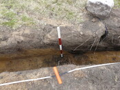 LFY11 20.jpg
