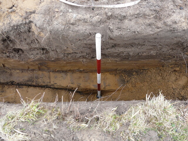 LFY11 26.jpg