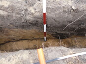 LFY11 29.jpg