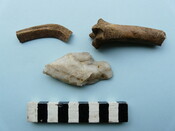 LFY11 56.jpg