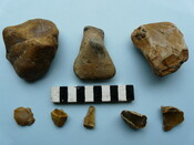 LFY11 57.jpg