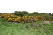DSC_0006.JPG