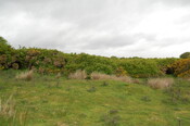 DSC_0019.JPG