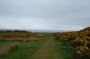 DSC_0030.JPG